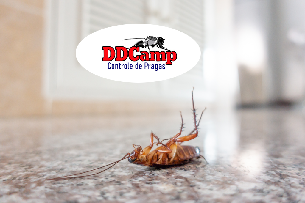 D.d.camp Servicos de Desinsetizacao Ltda.