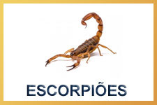 Escorpião